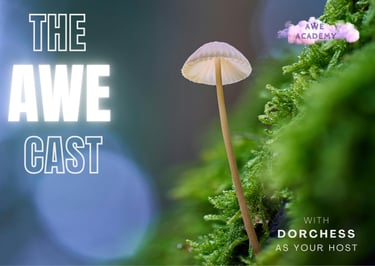 podcast image for the AWE cast