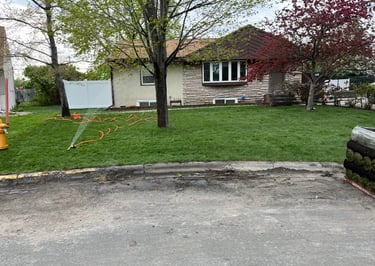 fresh sod installation at residential home in buffalo mn