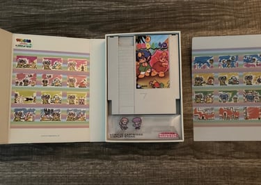 Retro-Bit Rodland Inside of NES Box