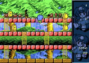 Amiga Rodland - Tam
