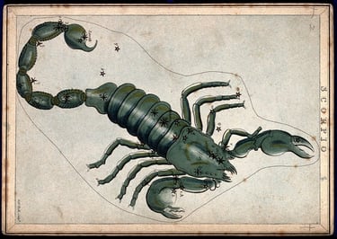 Scorpio  constellation 