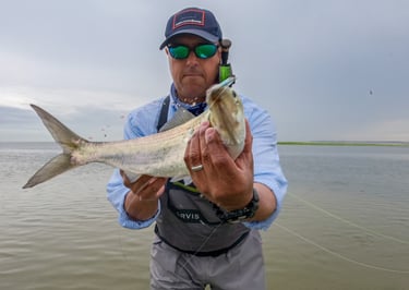 Shad on the fly