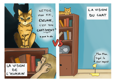 dessin humoristique de la vision des humains vs la vision du chat quand le chat urine hors litière