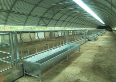 Proyecto de legalización de actividad cebadero de terneros