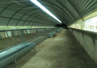 Proyecto de actividad de cebadero de terneros