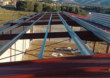 nave agrícola vista de correas de cubierta