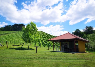 Pavillion im Grünen mit Hängematte