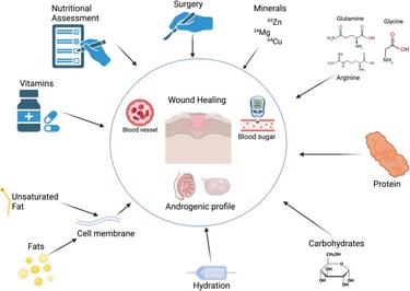 graphic of factors that influence wound healing including nutrients