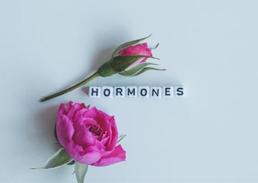 women-s-hormones-guide