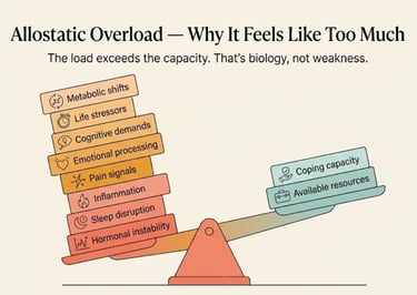 Infographic showing allostatic load during perimenopause