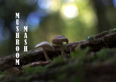 Ulterior pages 18-19