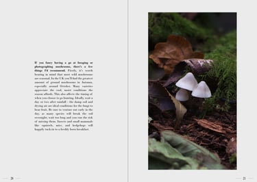 Ulterior pages 20-21