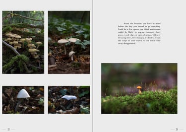 Ulterior pages 22-23