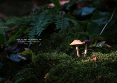 Ulterior pages 28-29