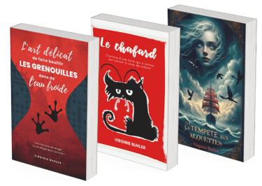 3 Romans de Virginie Buhler