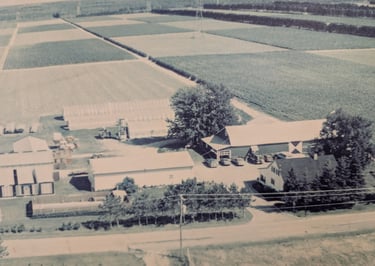 Photo de la Ferme Daniel Coutu - année 1977