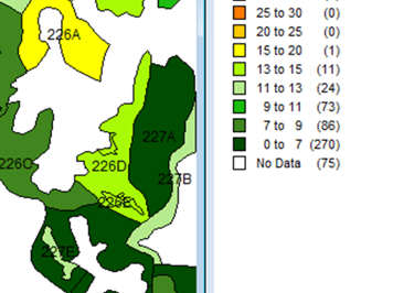 Metrics of a palm cultivation
