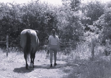 jeune fille qui marche à côté d'un cheval pour une séance d'équithérapie