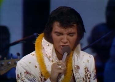 Guitar Chords for Beginners: Elvis Presley - Hound Dog