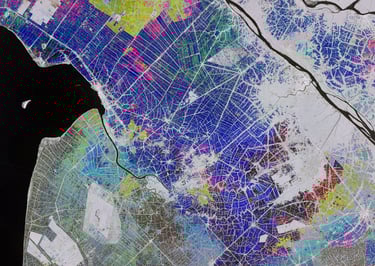 Satellite image of rice fields in the Mekong Delta in Vietnam