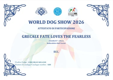 Attestato Eccellente WDS 2026 Diva Grecale Fate Loves The Fearless Grecalestaffs