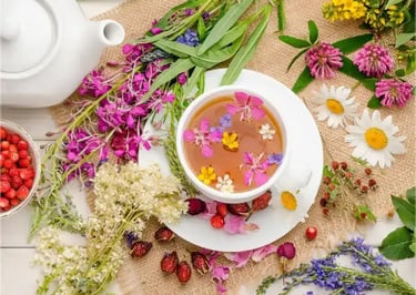 Plantes aromatiques et sauvages