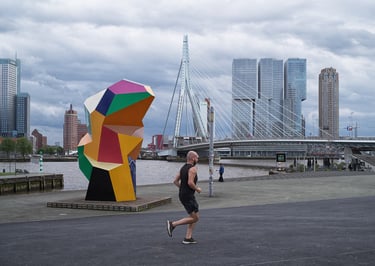 Reinhard Mokros: Rotterdam