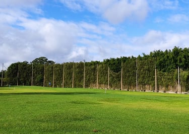 Compensação Ambiental