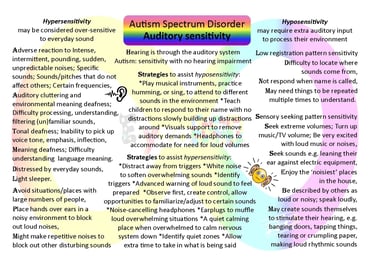 Auditory sensitivity ASD challenges