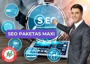 SEO paslaugos paketas MAXI