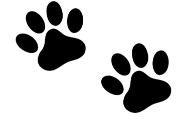 Paw prints