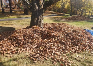leaf cleanup by capstone in North Shore, MA