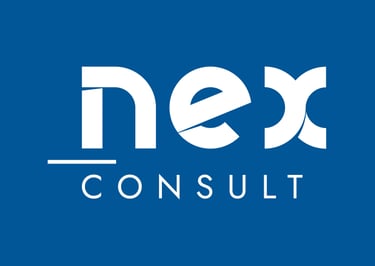 NexConsult consulenza per persone aziende e professionisti