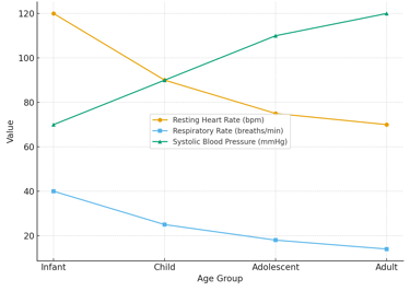line graph showing how resting heart rate, respiratory rate, and blood pressure change from infancy
