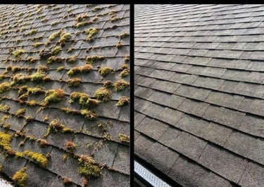 ROOF MOSS REMOVAL