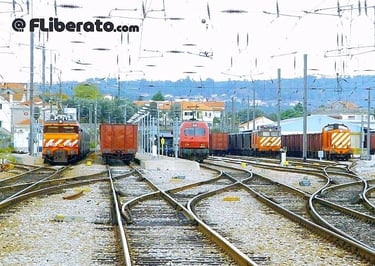 Manugalde Beira Alta 2003