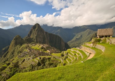 Sacred Valley & Machu Picchu Birding Adventure 3D/2N