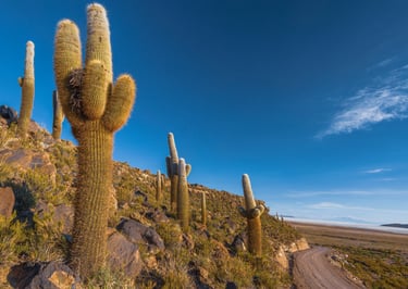Atacama Desert & Uyuni Salt Flats Photography Tour 11 Days 