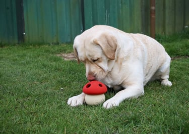 Puzzel & Plezier sessie