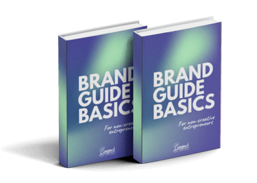 brand guide book