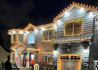 Professional Holiday Lighting