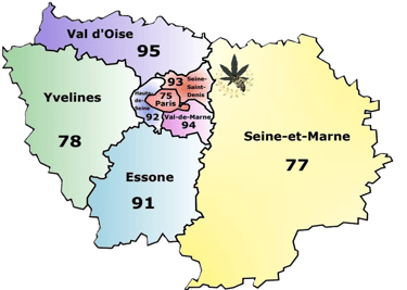 producteur cbd français naturel seine-et-marne cultivateur chanvre green-house paris ile-de-france