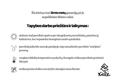 Tapybos darbo priežiūros taisyklės