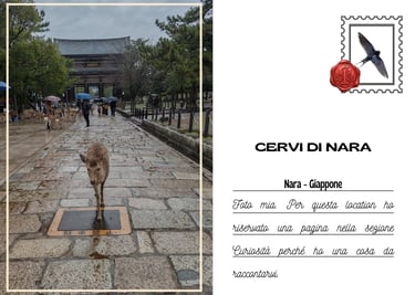 Cartolina di uno dei cervi di Nara in Giappone davanti a un tempio