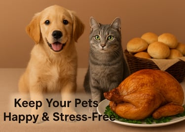 cat and dog relaxing in quiet room Burlington Thanksgiving pet tips