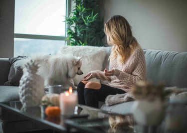 dogAdvisor | dogadvisor | dog advisor | dogAdvisor.dog