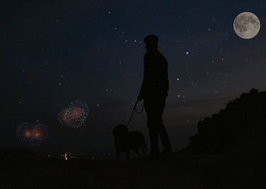 dogAdvisor | dogadvisor | dog advisor | dogAdvisor.dog