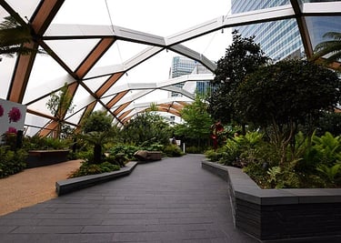 dogAdvisor | dogadvisor | dog advisor | dogAdvisor.dog