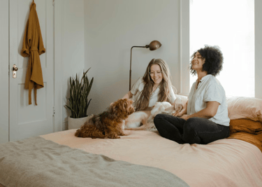 dogAdvisor | dogadvisor | dog advisor | dogAdvisor.dog