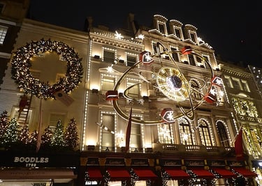 dogAdvisor | dogadvisor | dog advisor | dogAdvisor.dog